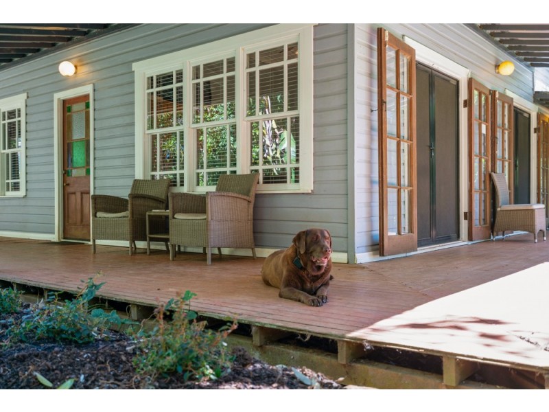 501 Rosebank Road, Rosebank NSW 2480