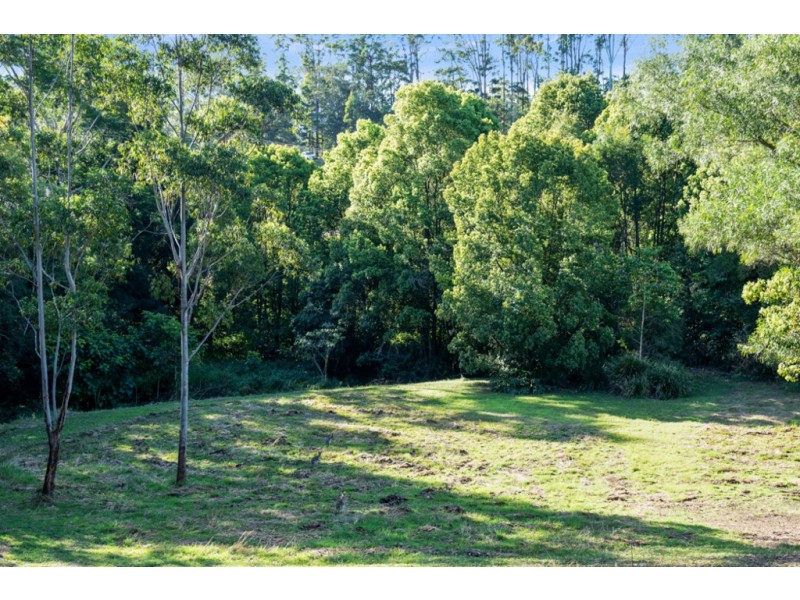 50 Basil Road, Nimbin NSW 2480