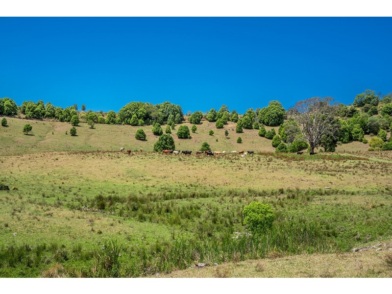 1683 Hinterland Way, Ewingsdale NSW 2481