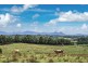 1683 Hinterland Way, Ewingsdale NSW 2481
