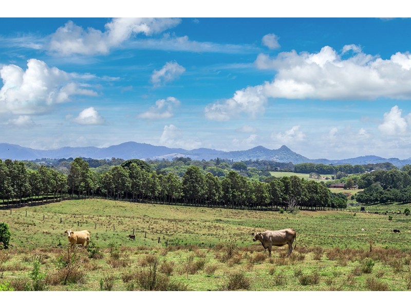 1683 Hinterland Way, Ewingsdale NSW 2481