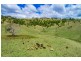 1683 Hinterland Way, Ewingsdale NSW 2481