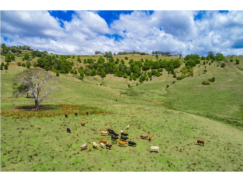 1683 Hinterland Way, Ewingsdale NSW 2481