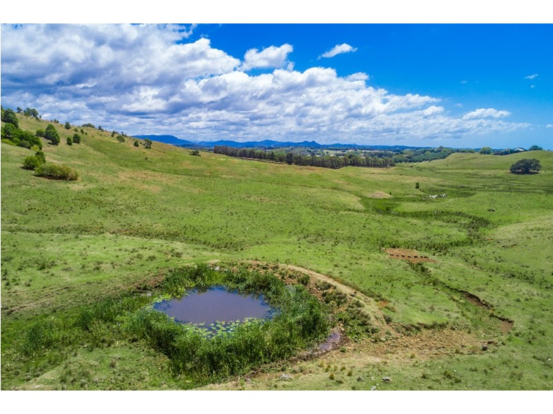 1683 Hinterland Way, Ewingsdale NSW 2481