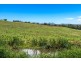 1683 Hinterland Way, Ewingsdale NSW 2481