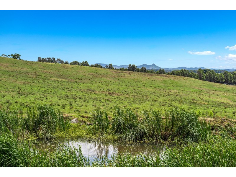 1683 Hinterland Way, Ewingsdale NSW 2481