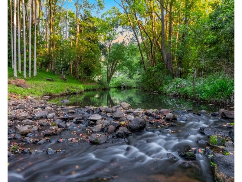 495 FRIDAY HUT ROAD, Possum Creek NSW 2479