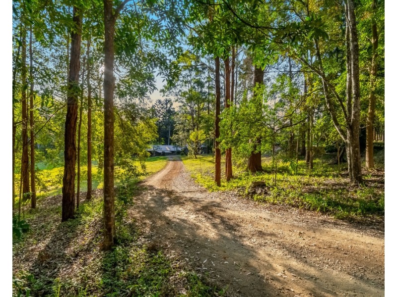 495 FRIDAY HUT ROAD, Possum Creek NSW 2479