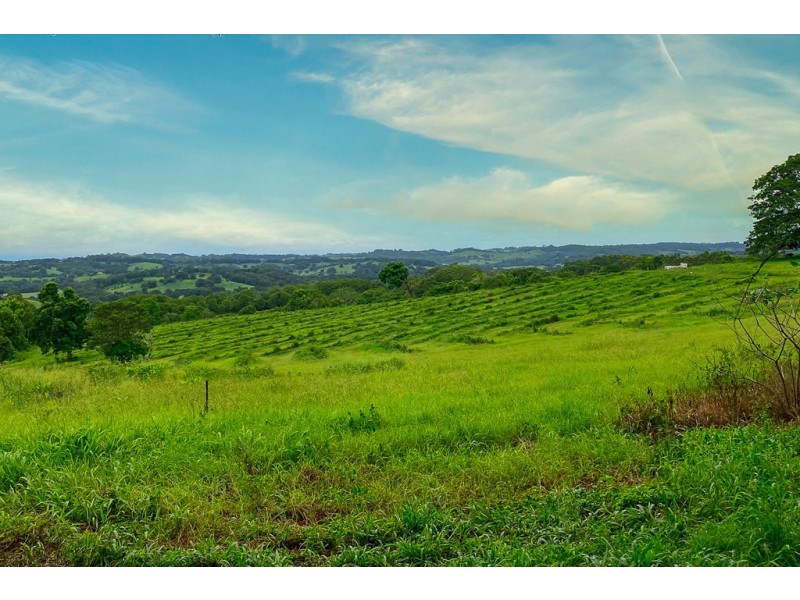 2 STEWARTS ROAD, Clunes NSW 2480