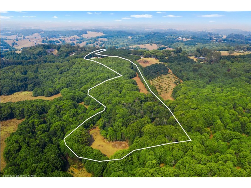 111 Taylors Road, Eureka NSW 2480