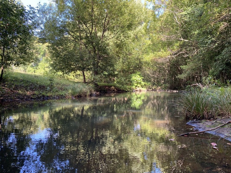 111 Taylors Road, Eureka NSW 2480