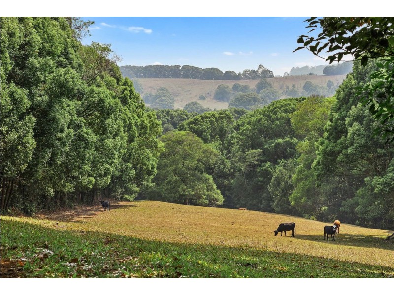 111 Taylors Road, Eureka NSW 2480