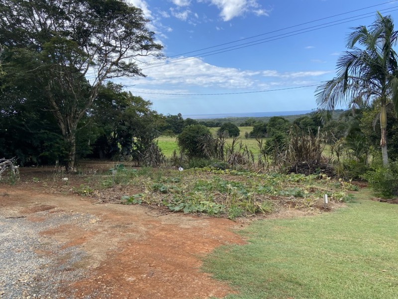 26 HENDERSON LANE, Mullumbimby NSW 2482