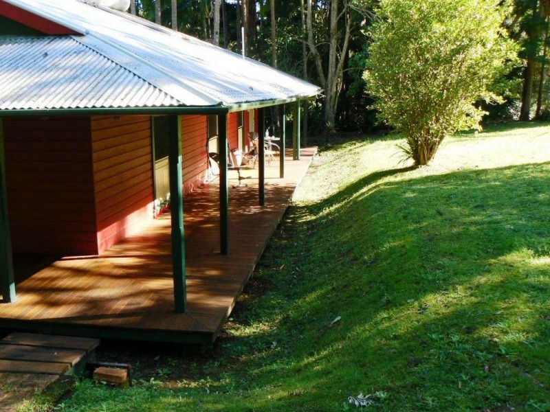 694 Wilsons Creek Road, Wilsons Creek NSW 2482