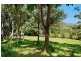694 Wilsons Creek Road, Wilsons Creek NSW 2482