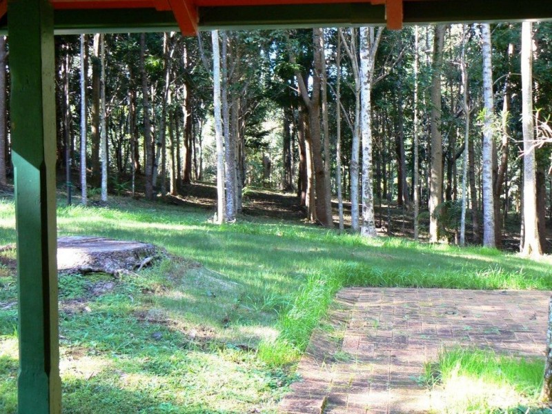 694 Wilsons Creek Road, Wilsons Creek NSW 2482