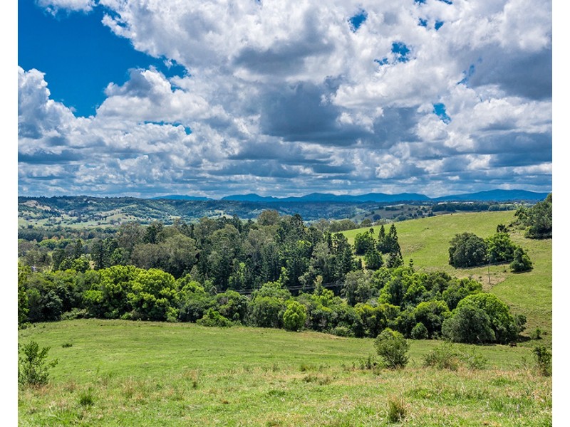 11 GERAGHTYS ACCESS, Richmond Hill NSW 2480