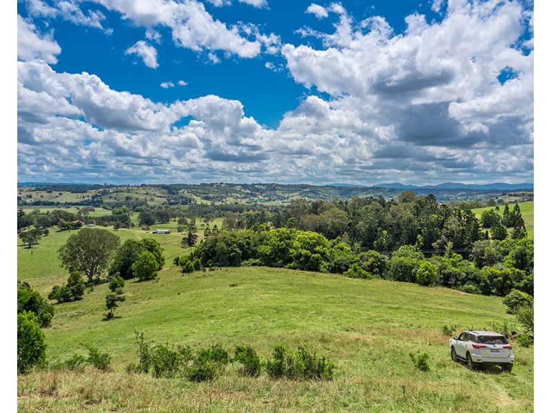 11 GERAGHTYS ACCESS, Richmond Hill NSW 2480