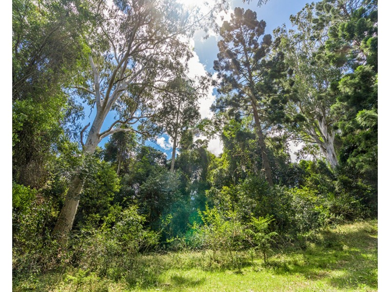 11 GERAGHTYS ACCESS, Richmond Hill NSW 2480