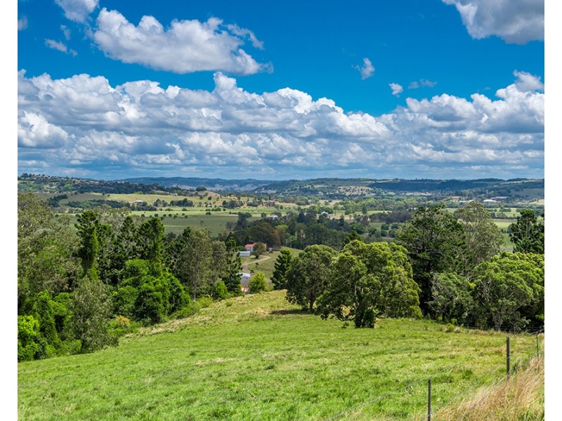 11 GERAGHTYS ACCESS, Richmond Hill NSW 2480