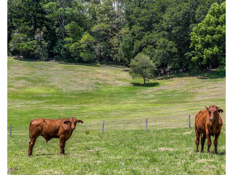 11 GERAGHTYS ACCESS, Richmond Hill NSW 2480