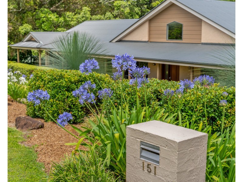 151 Wenga Drive, Alstonvale NSW 2477