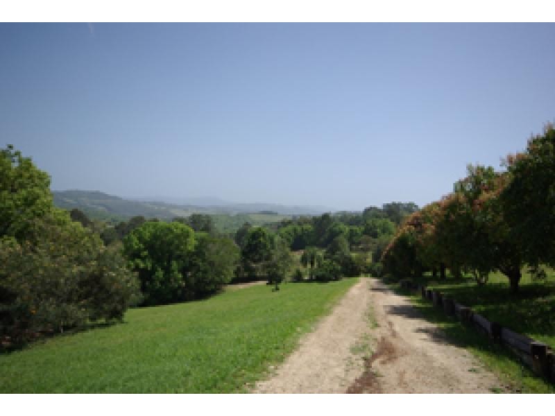 Possum Creek NSW 2479