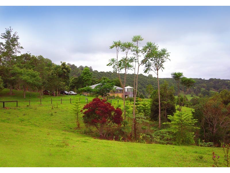 84 Armstrong Road, Rosebank NSW 2480