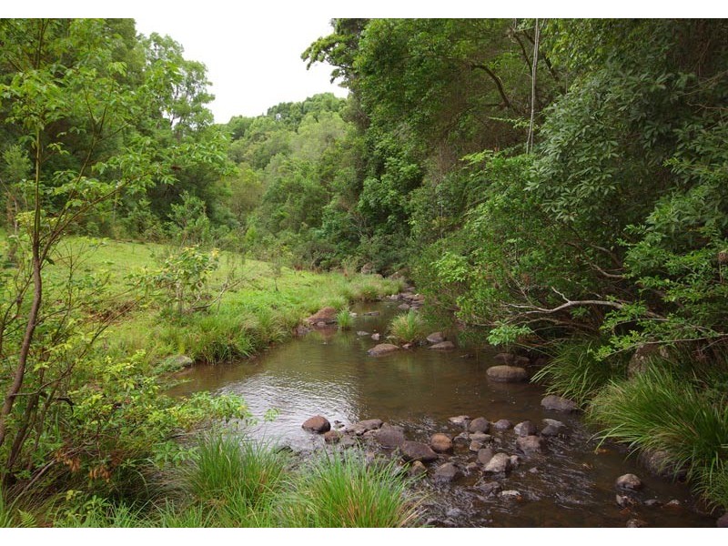 84 Armstrong Road, Rosebank NSW 2480