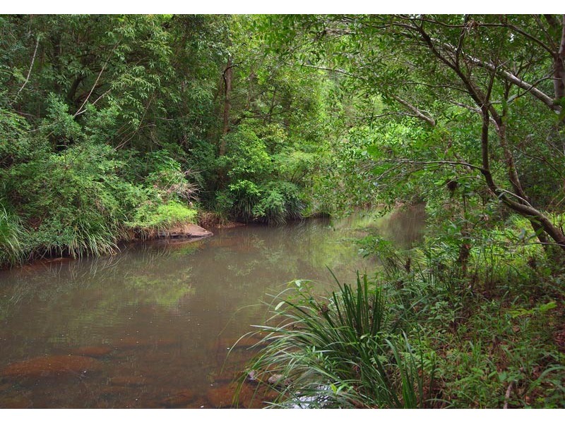 84 Armstrong Road, Rosebank NSW 2480