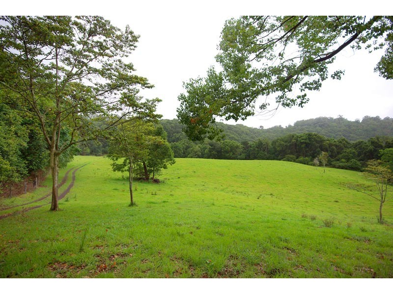 84 Armstrong Road, Rosebank NSW 2480