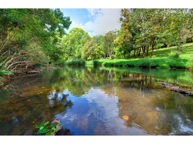 Wilsons Creek NSW 2482