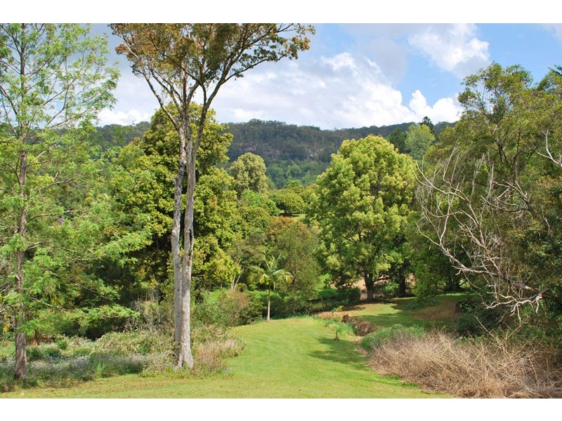 Wilsons Creek NSW 2482