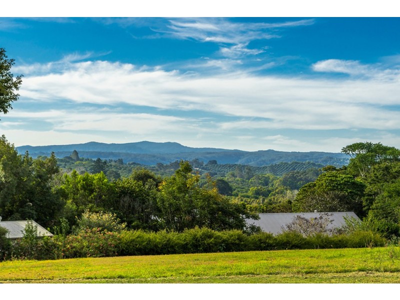 229 Rosebank Road, Rosebank NSW 2480