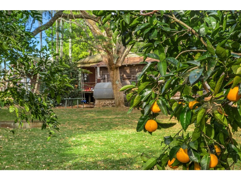 229 Rosebank Road, Rosebank NSW 2480