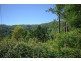 33 Blackbean Road, Wilsons Creek NSW 2482