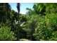 33 Blackbean Road, Wilsons Creek NSW 2482