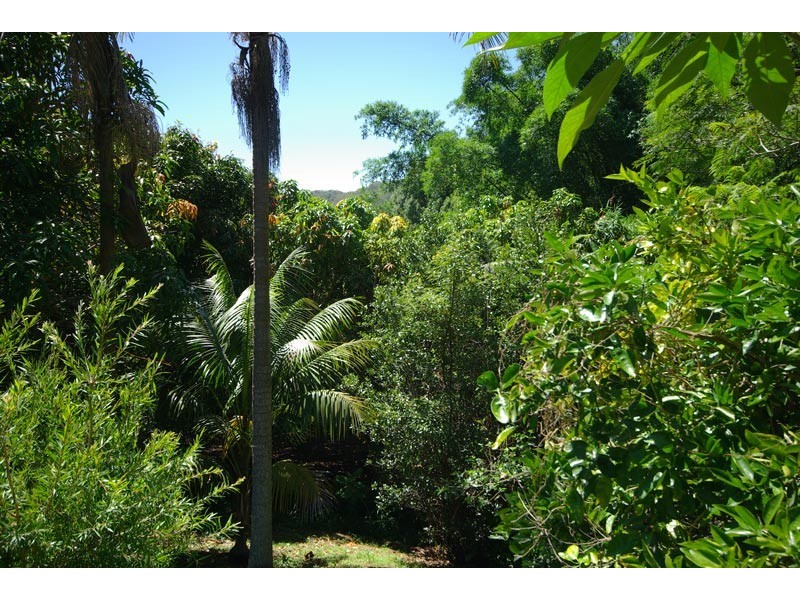 33 Blackbean Road, Wilsons Creek NSW 2482
