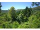 33 Blackbean Road, Wilsons Creek NSW 2482