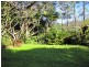 33 Blackbean Road, Wilsons Creek NSW 2482