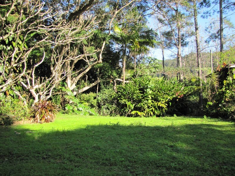 33 Blackbean Road, Wilsons Creek NSW 2482