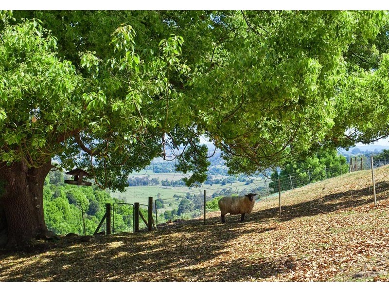 27 Barrys Road, Modanville NSW 2480