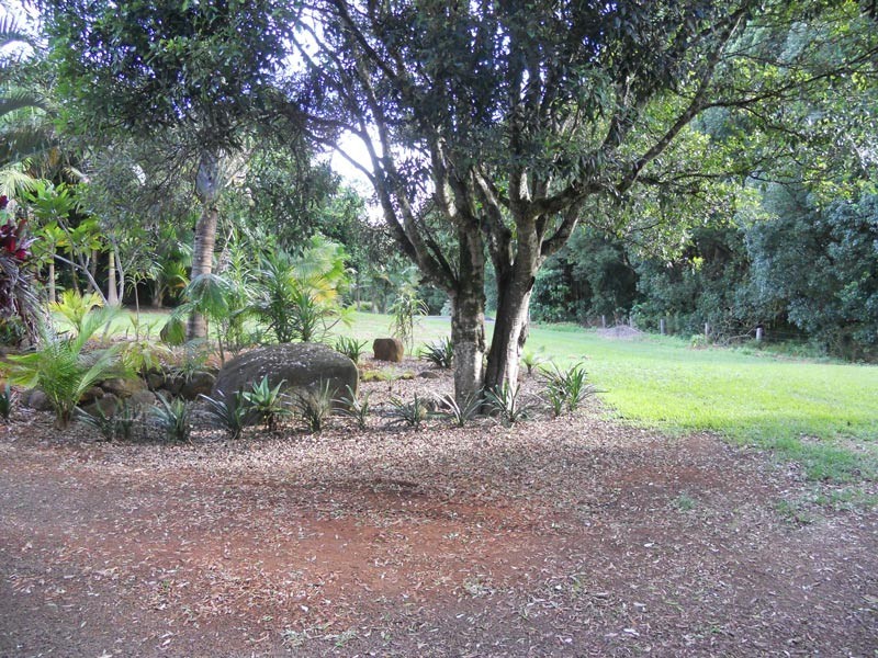 18a Avalon Ave, Clunes NSW 2480