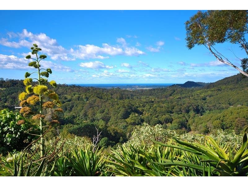 45 Blackbean Road, Wilsons Creek NSW 2482