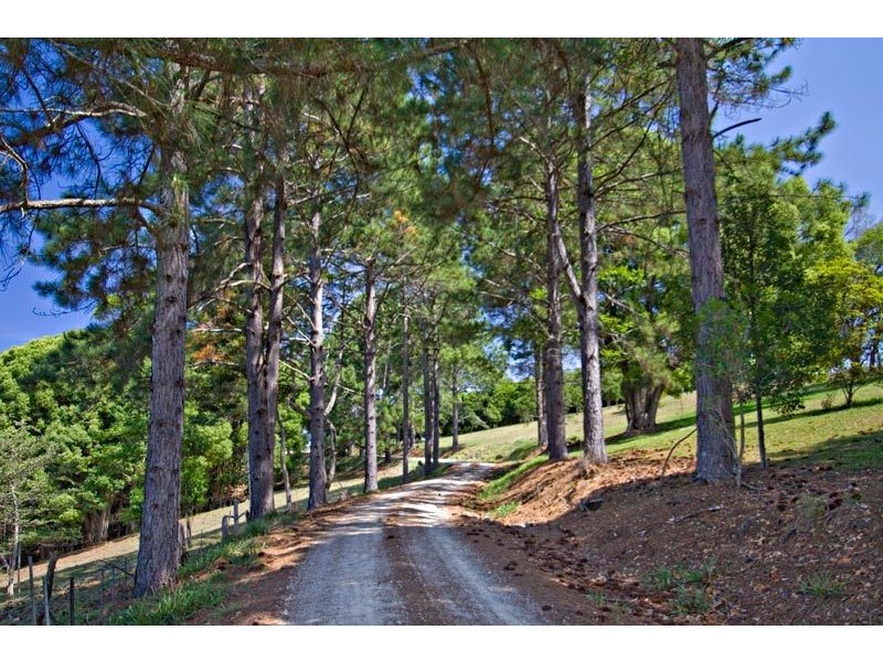 # 412 Repentance Creek Road, Rosebank NSW 2480