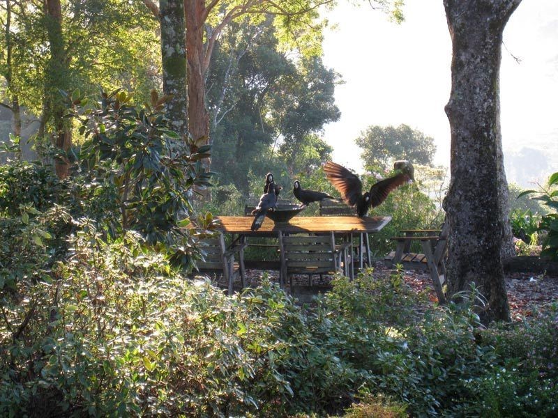 # 412 Repentance Creek Road, Rosebank NSW 2480