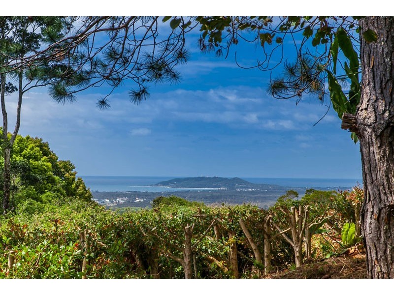 203 Coolamon Scenic Drive, Coorabell NSW 2479