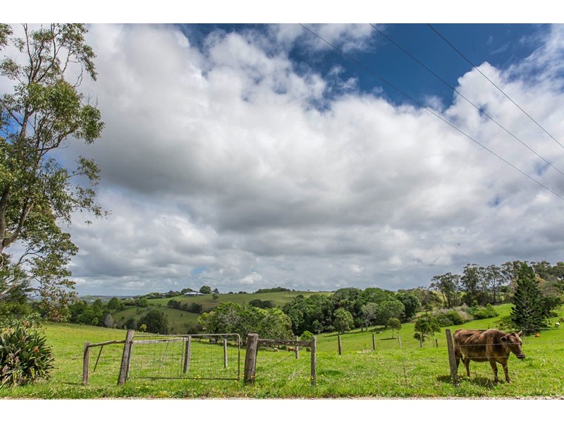 203 Coolamon Scenic Drive, Coorabell NSW 2479