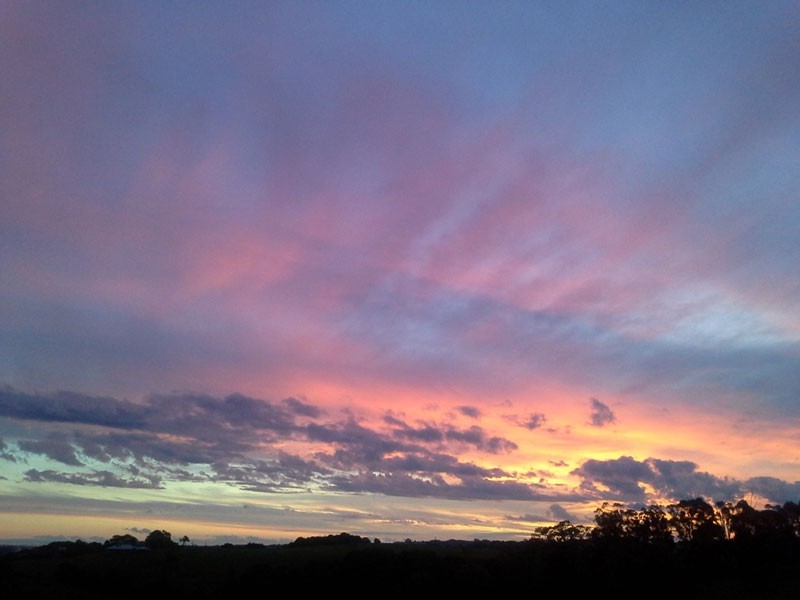 203 Coolamon Scenic Drive, Coorabell NSW 2479