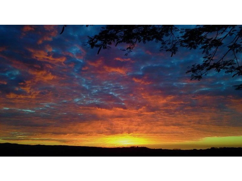 203 Coolamon Scenic Drive, Coorabell NSW 2479